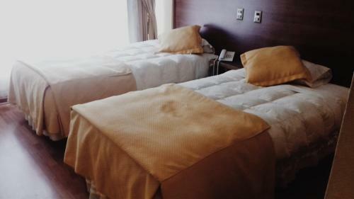 Hotel Plaza Los Andes