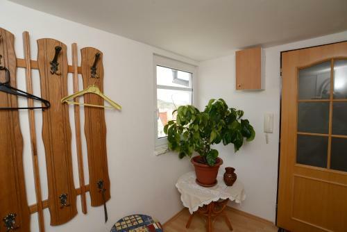 Apartamento Privat T?i K?�?e
