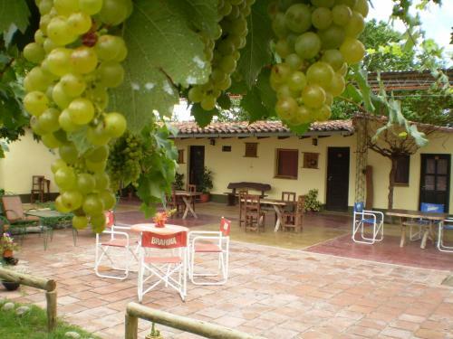 Albergue Hostal Rustyk