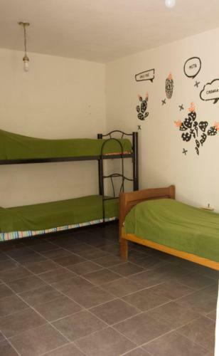 Hostel Casa Arbol