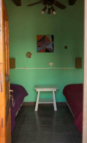 Hostel Casa Arbol