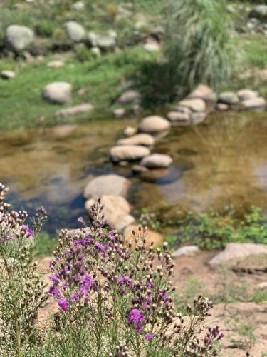 Agroturismo Caba�as San Miguel