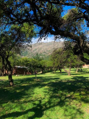Agroturismo Caba�as San Miguel