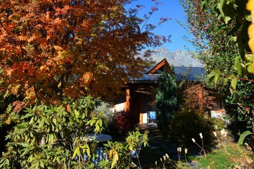 Lodge Carpe Diem Caba�as & Suites