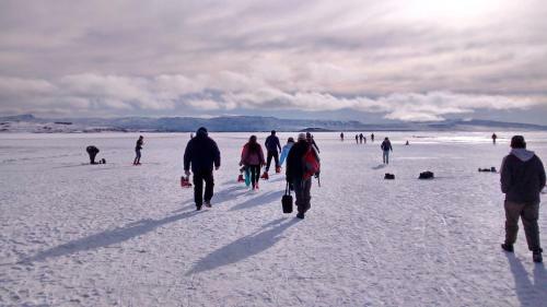 Calafate Viejo Hostel