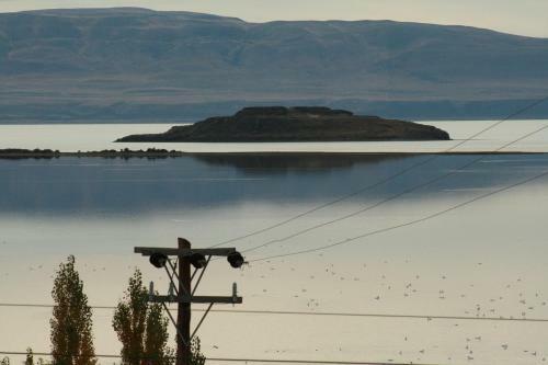 Renting Calafate