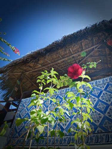 Hostal Pousada Maramazon