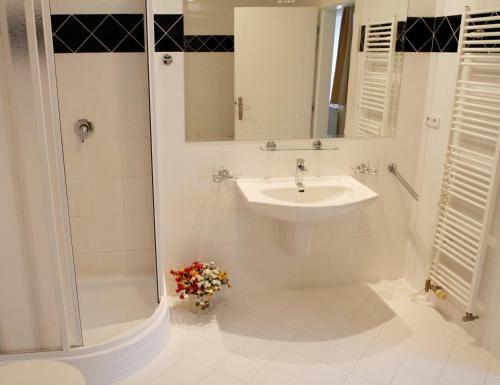 Apartamentos Pension-apartmany Cesky Dvur