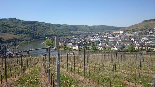 Hostal G�stehaus Am Schlossberg