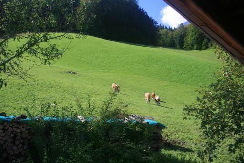 Hostal Alpenhotel Beslhof