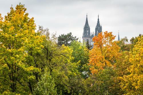 Aparthotel Goldenes Fass Mei�en