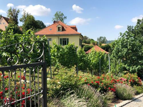 Apartamentos Rebenhaus Mei�en