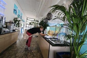 Aqua Hotel & Hostel