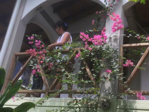 Agroturismo Caba�a Tucan