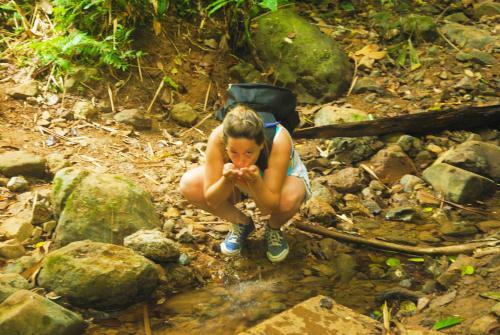 Lodge Acuali Ecohostal