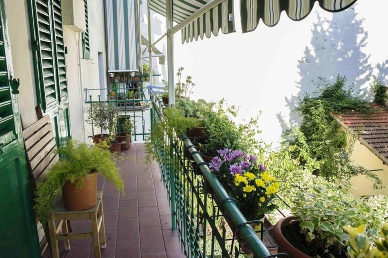 B&B Olivo