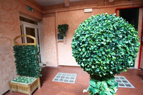 Hotel Albergo Ristorante Domus