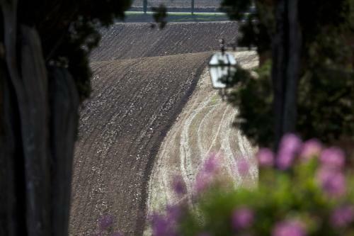 Agroturismo Villa Poggiano