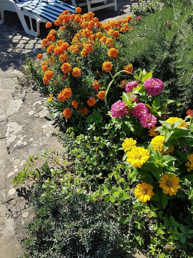 Hostal Il Casale Sorrento