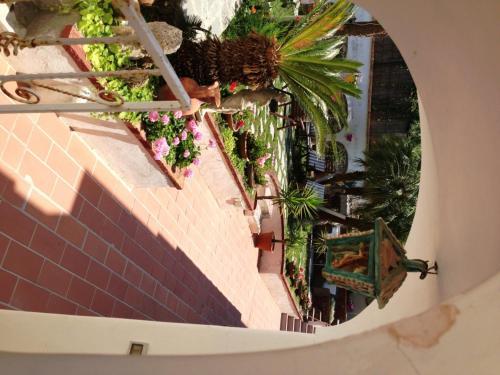 Bed & Breakfast Mediterraneo Guest House