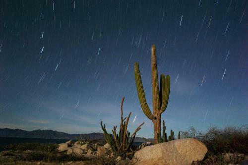 Hotel Palapas Ventana