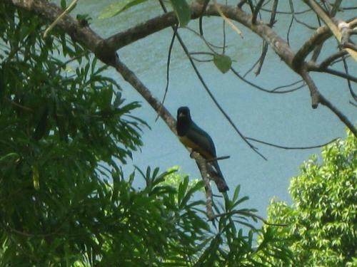 Lodge Caba�as Ecologicas Tumben Ha