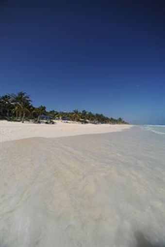 Las Ranitas Eco Boutique Hotel