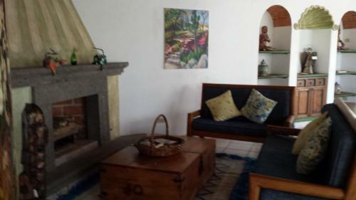 La Casa De Los Cactus - Boutique Villas Xichu