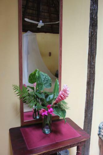 Bed & Breakfast Casa Selva Orquideas