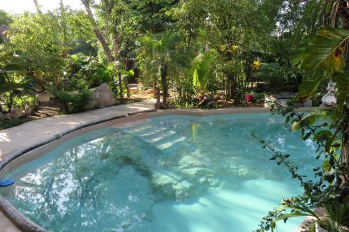 Bed & Breakfast Casa Selva Orquideas