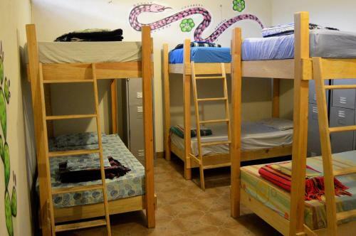 Albergue Hikuri Eco Hostal