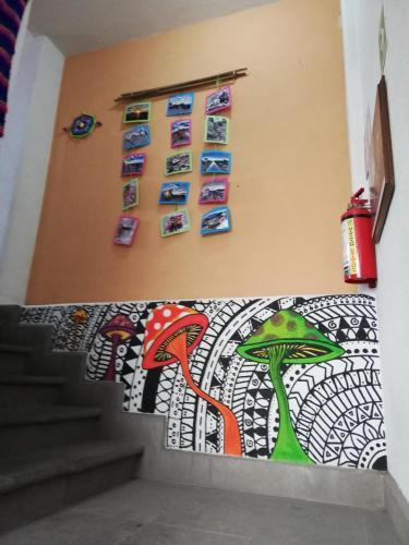Albergue Hikuri Eco Hostal