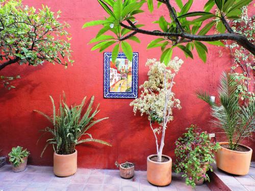 Apartamento Hospedaje El Colibri