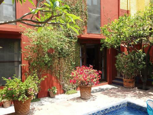 Apartamento Hospedaje El Colibri