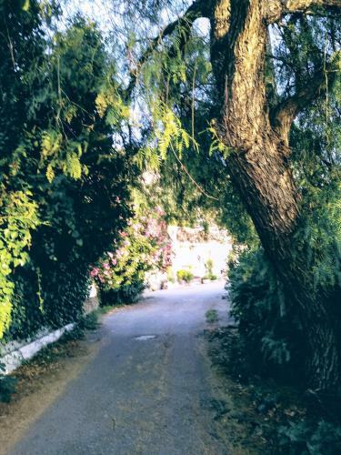 Agroturismo El Antiguo Molino