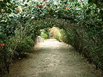 Hotel Hacienda San Jose
