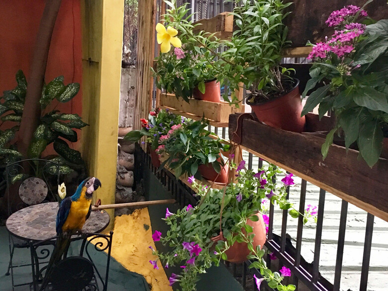Panama House Bed & Breakfast