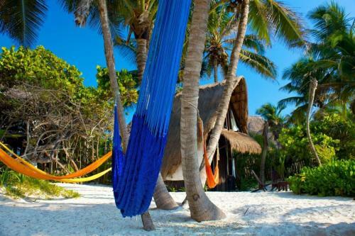 Apartamento Playa Selva