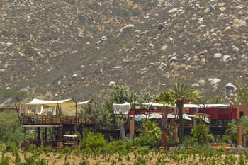 Hotel Boutique Valle De Guadalupe