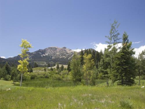 Hotel Snowcreek Resort