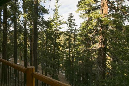 Hotel Timber Ridge Resort By 101 Great Escapes