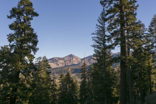 Hotel Timber Ridge Resort By 101 Great Escapes