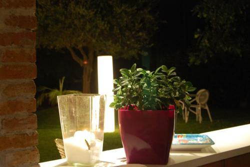 Bed & Breakfast Terra E Stelle