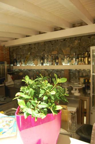 Bed & Breakfast Terra E Stelle