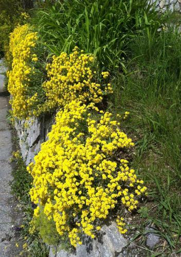 Apartamento Flurahof