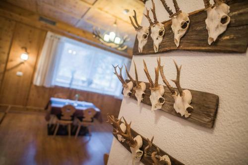 Aparthotel Hotel Residence Martell Mountains