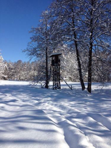 Apartamento Goldschmiedsm�hle