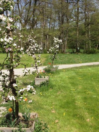 Apartamento Goldschmiedsm�hle