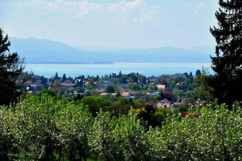 Hotel Montfort-schl�ssle