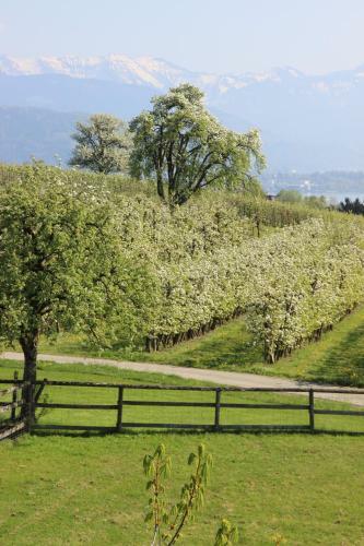Hotel Montfort-schl�ssle
